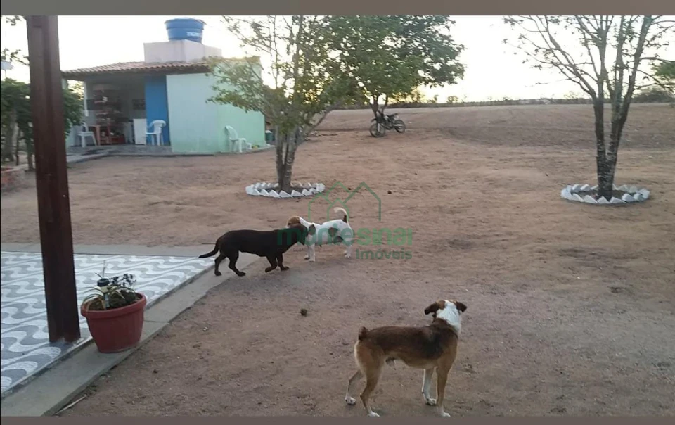 Chácara À Venda Zona Rural Garanhuns por apenas R$600.000,00