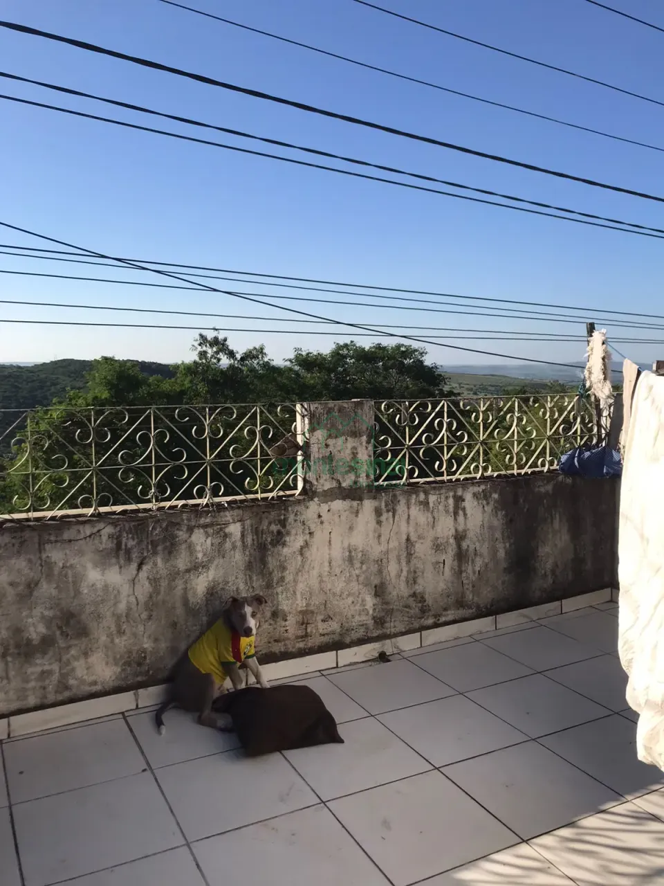 Imagens do imóveis Casa com 4 quartos próximo ao Hospital Dom Moura para Locação