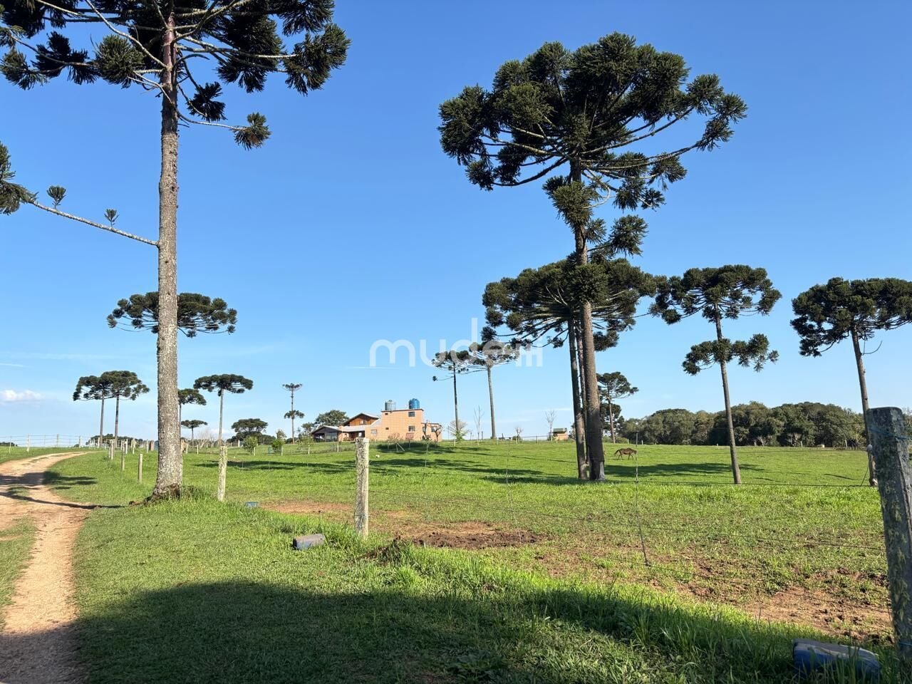 Fazenda, sítio ou chácara 4 quartos à venda em Campestre da Faxina, São José dos Pinhais - foto 2