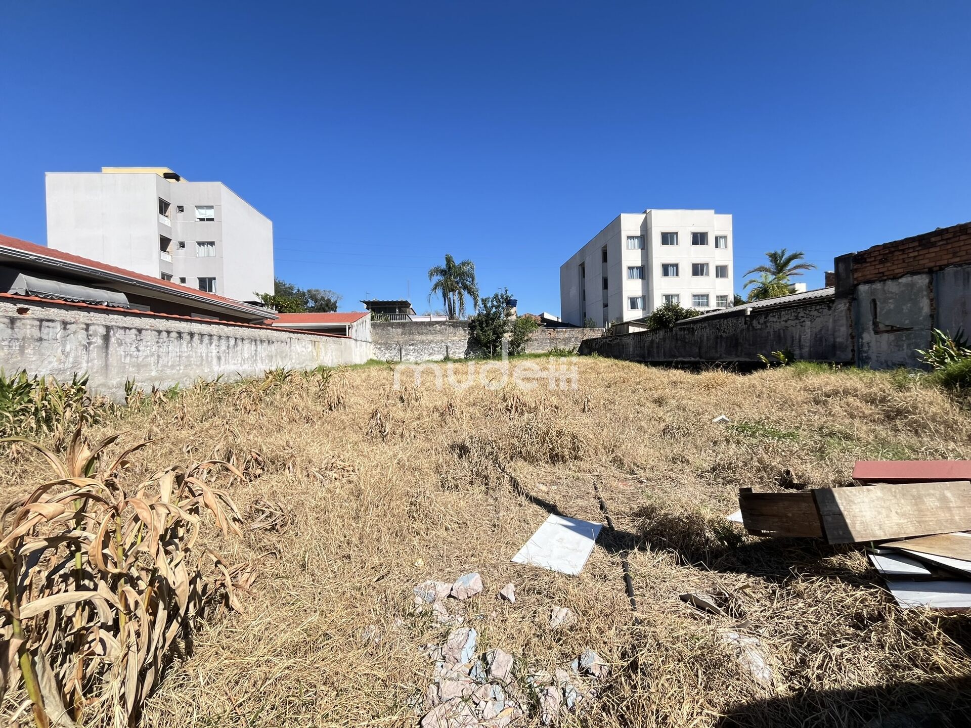 Terreno à venda em Boneca do Iguaçu, São José dos Pinhais - foto 11