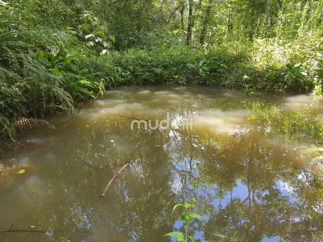 Fazenda, sítio ou chácara 2 quartos à venda em Centro, Campo Magro - foto 11