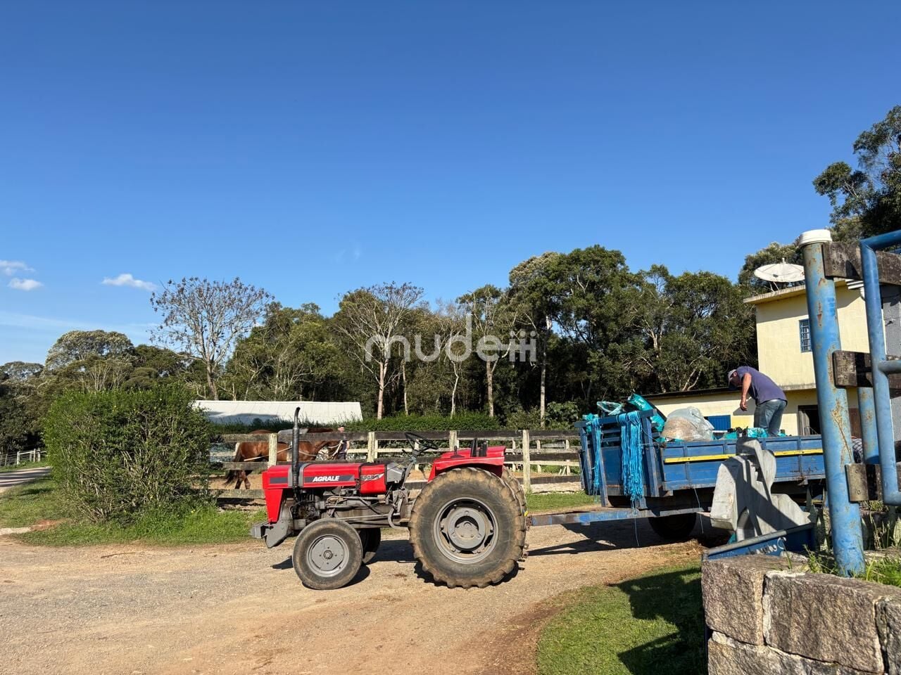 Fazenda, sítio ou chácara 4 quartos à venda em Campestre da Faxina, São José dos Pinhais - foto 11