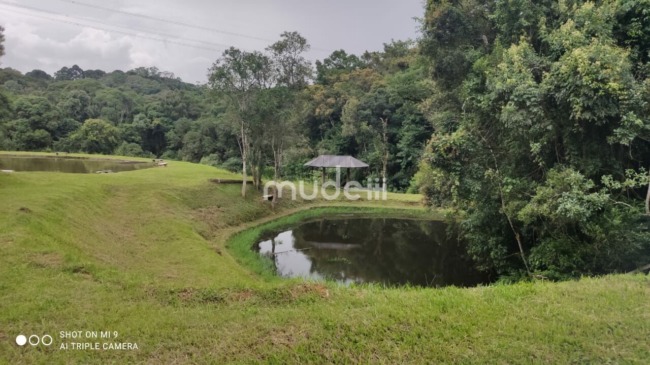 Fazenda, sítio ou chácara 4 quartos à venda em Roça Velha, São José dos Pinhais - foto 11