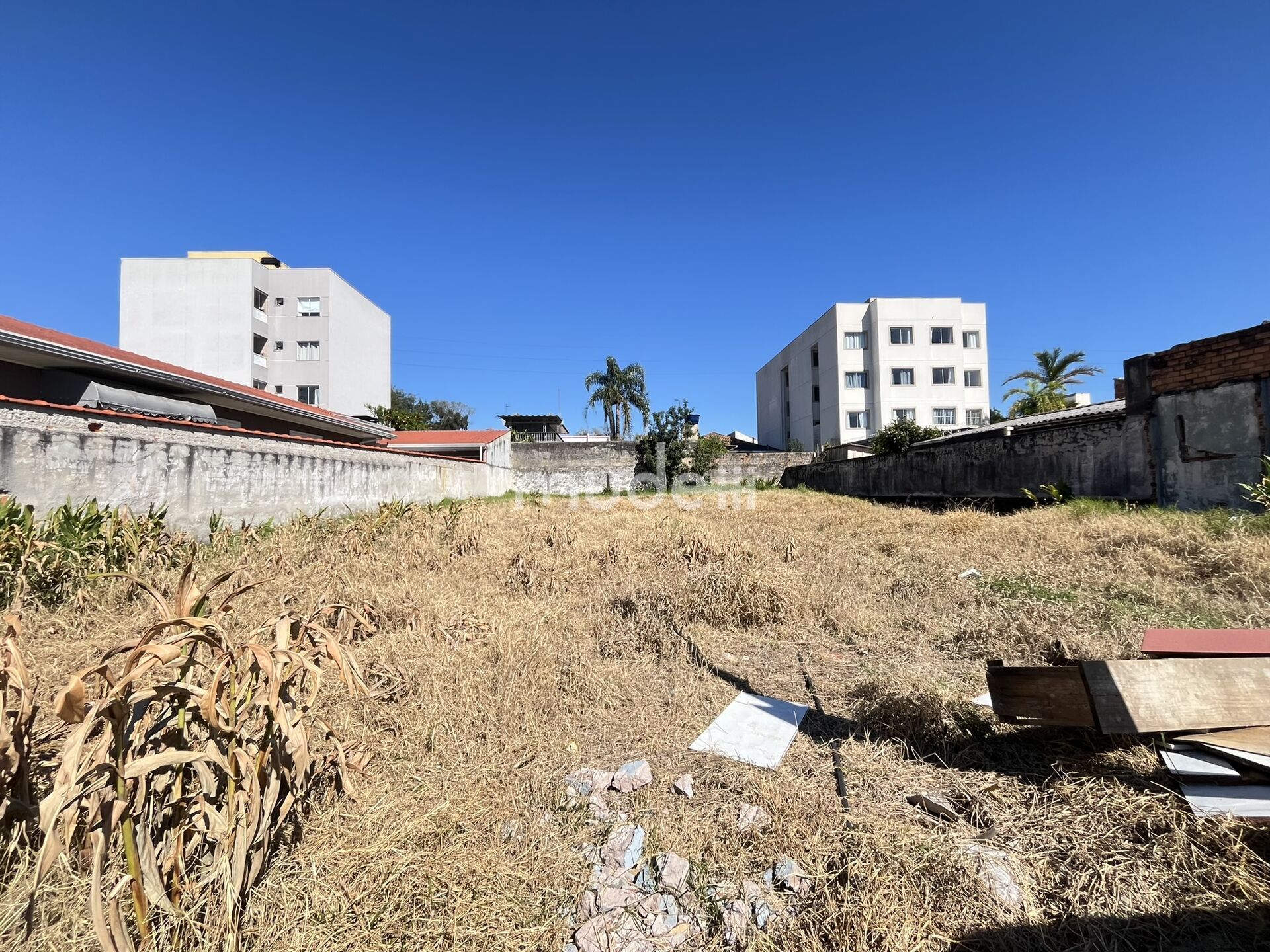 Terreno à venda em Boneca do Iguaçu, São José dos Pinhais - foto 12