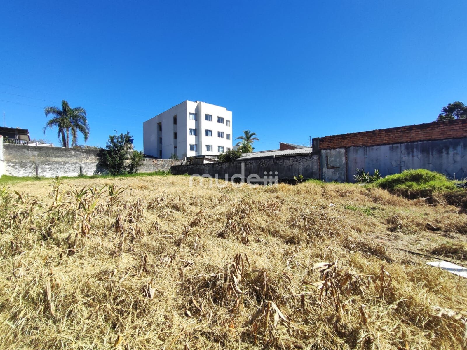 Terreno à venda em Boneca do Iguaçu, São José dos Pinhais - foto 2
