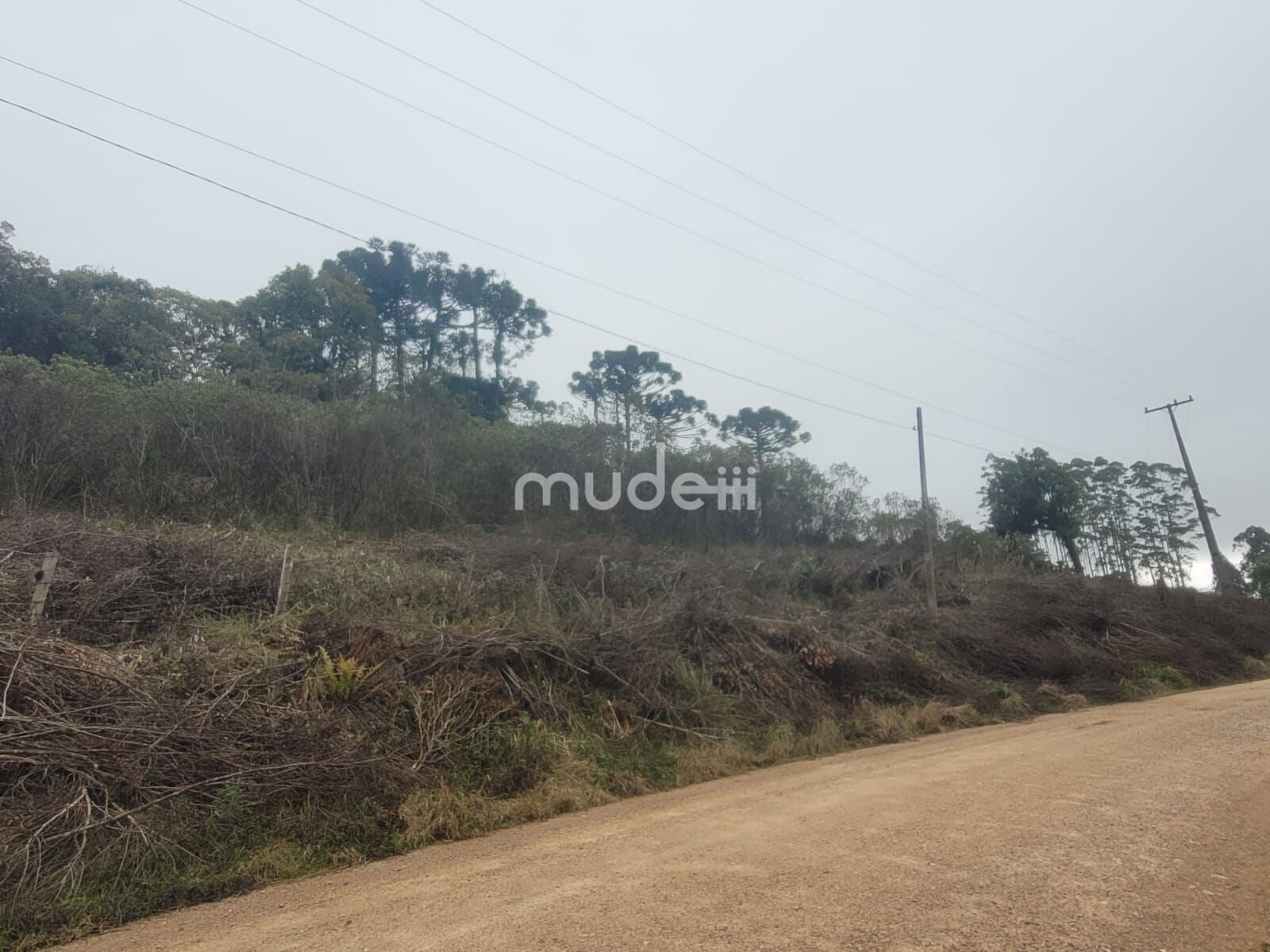 Terreno à venda em Área Rural de São José dos Pinhais, São José dos Pinhais - foto 2