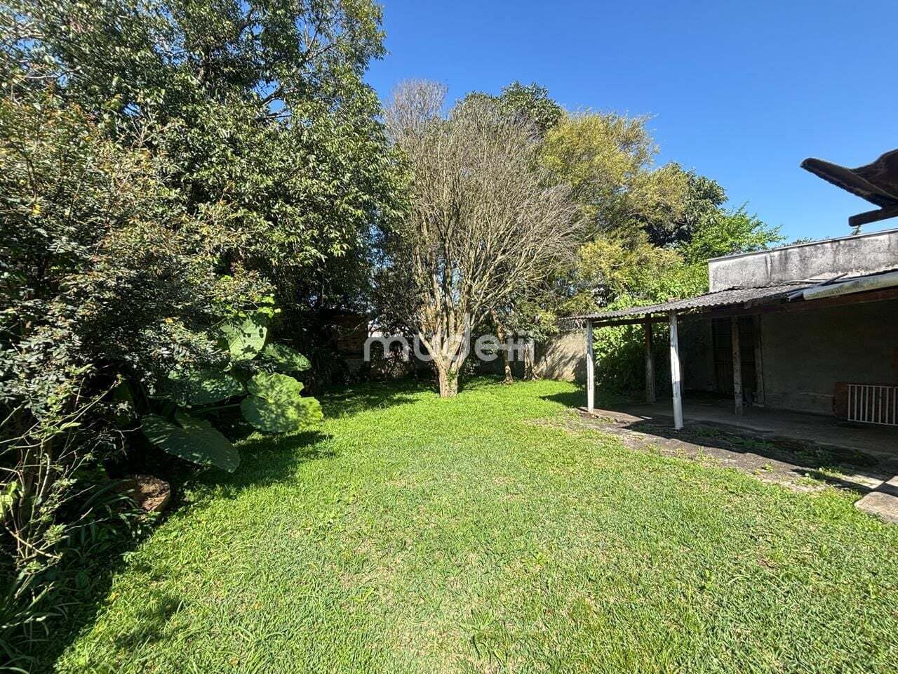 Casa 3 quartos à venda em Três Marias, São José dos Pinhais - foto 12
