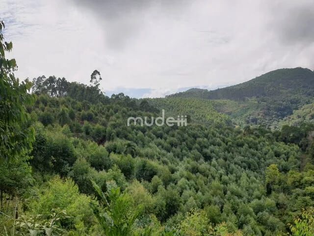 Fazenda, sítio ou chácara 2 quartos à venda em Centro, Campo Magro - foto 13