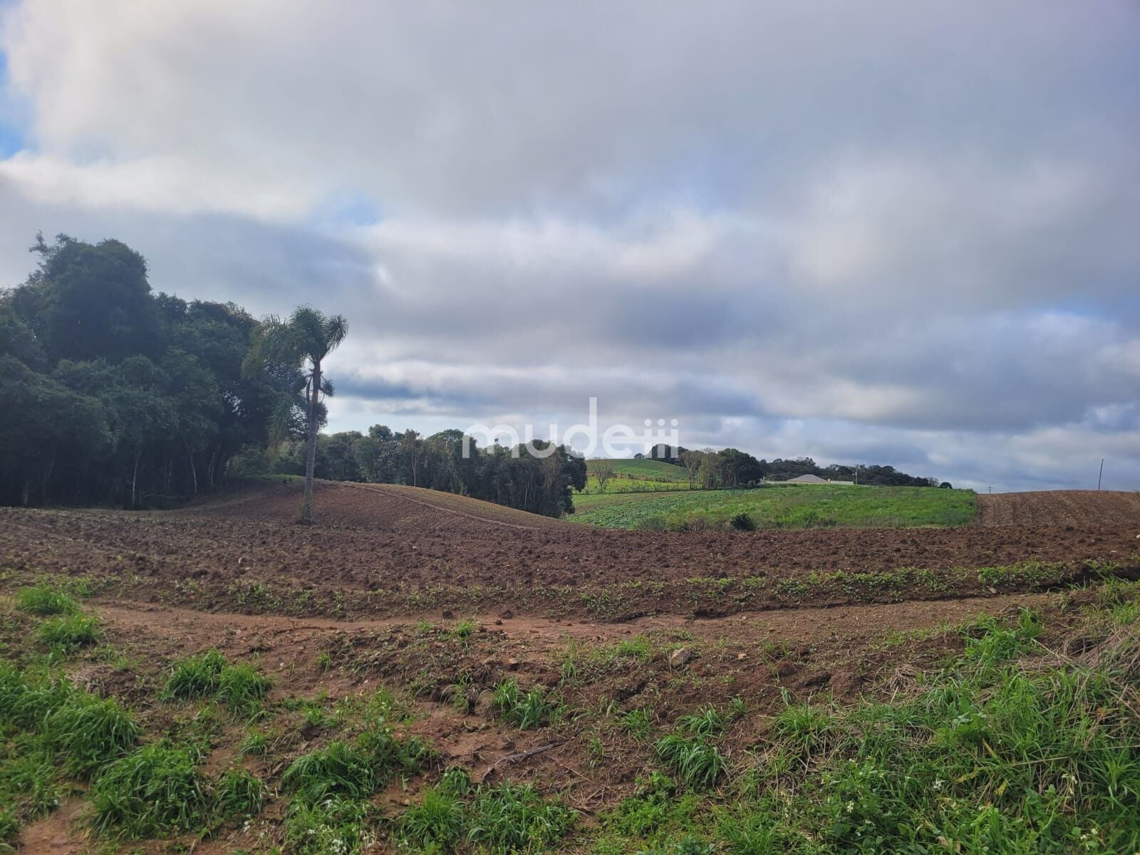 Terreno à venda em Área Rural de São José dos Pinhais, São José dos Pinhais - foto 2
