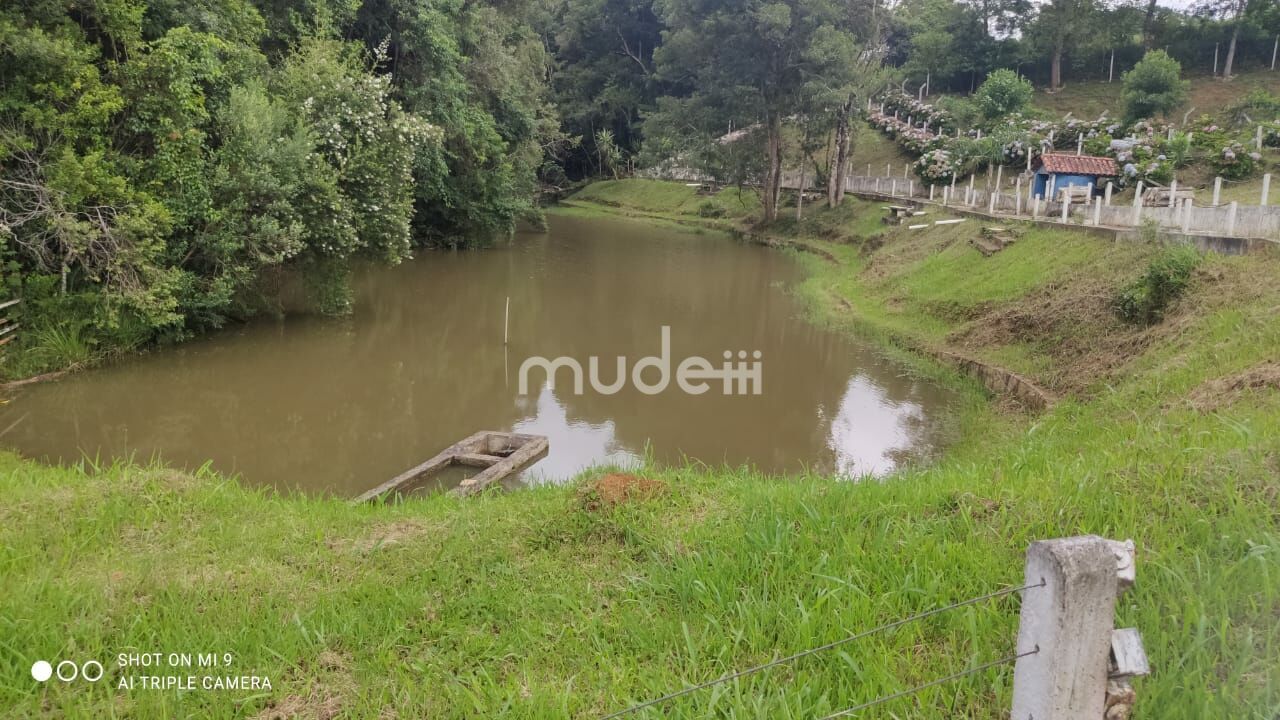 Fazenda, sítio ou chácara 4 quartos à venda em Roça Velha, São José dos Pinhais - foto 13