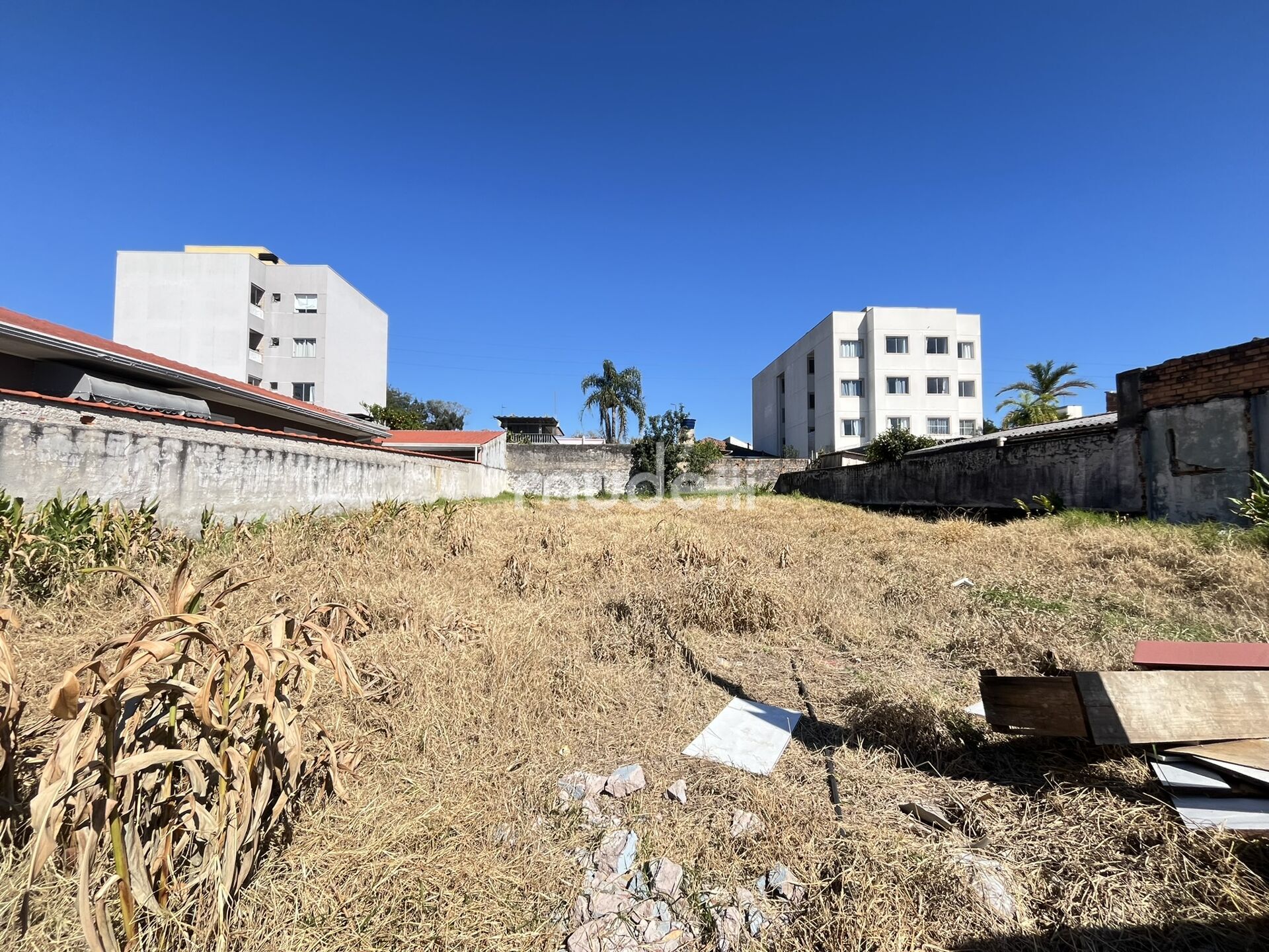 Terreno à venda em Boneca do Iguaçu, São José dos Pinhais - foto 13