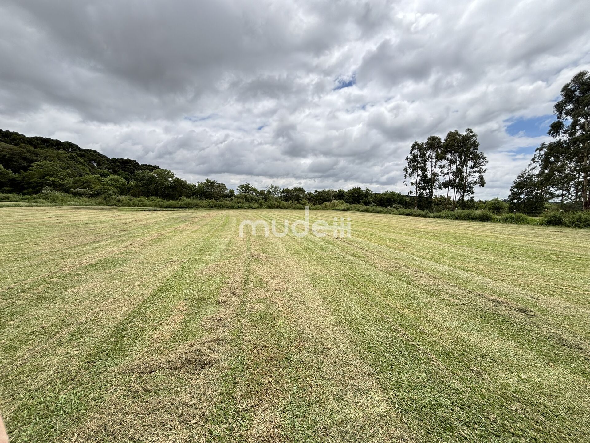 Terreno à venda em Centro, São José dos Pinhais - foto 2