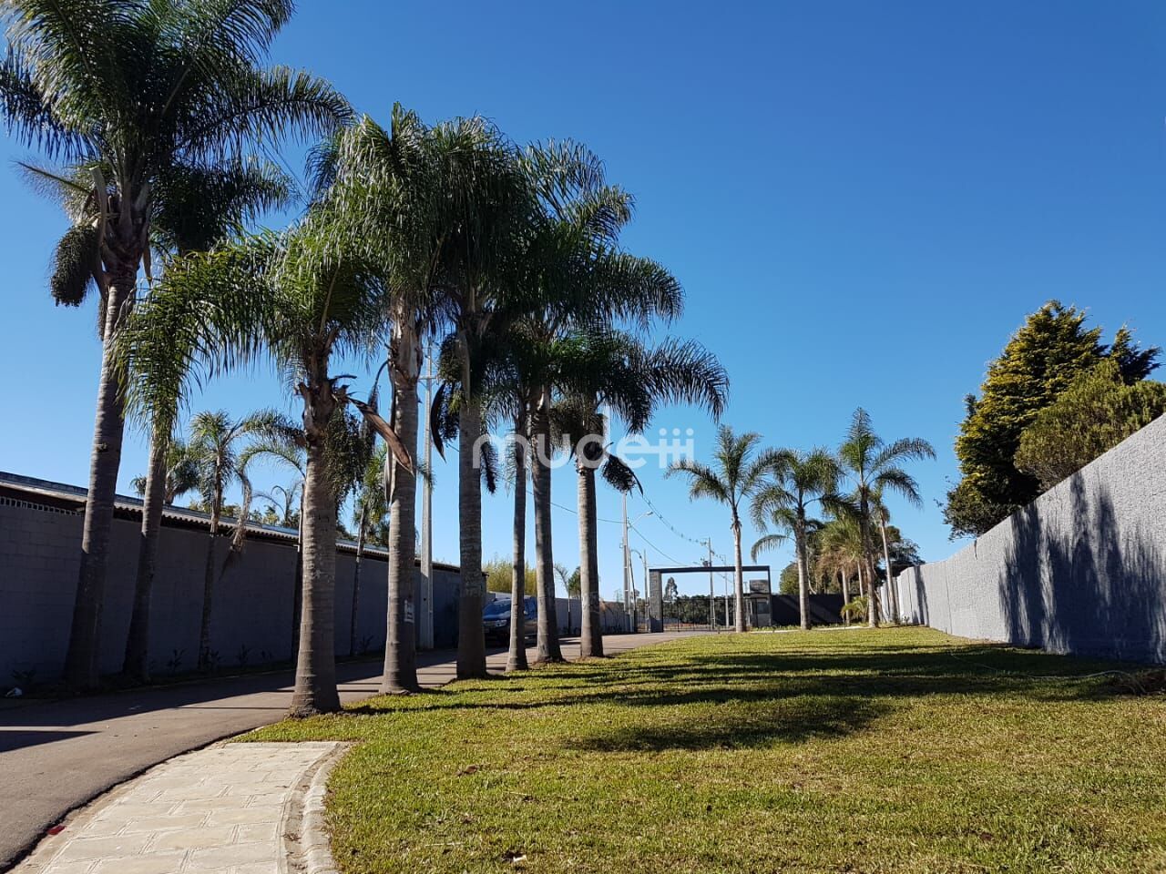 Terreno em condomínio à venda em Campo Largo da Roseira, São José dos Pinhais - foto 2