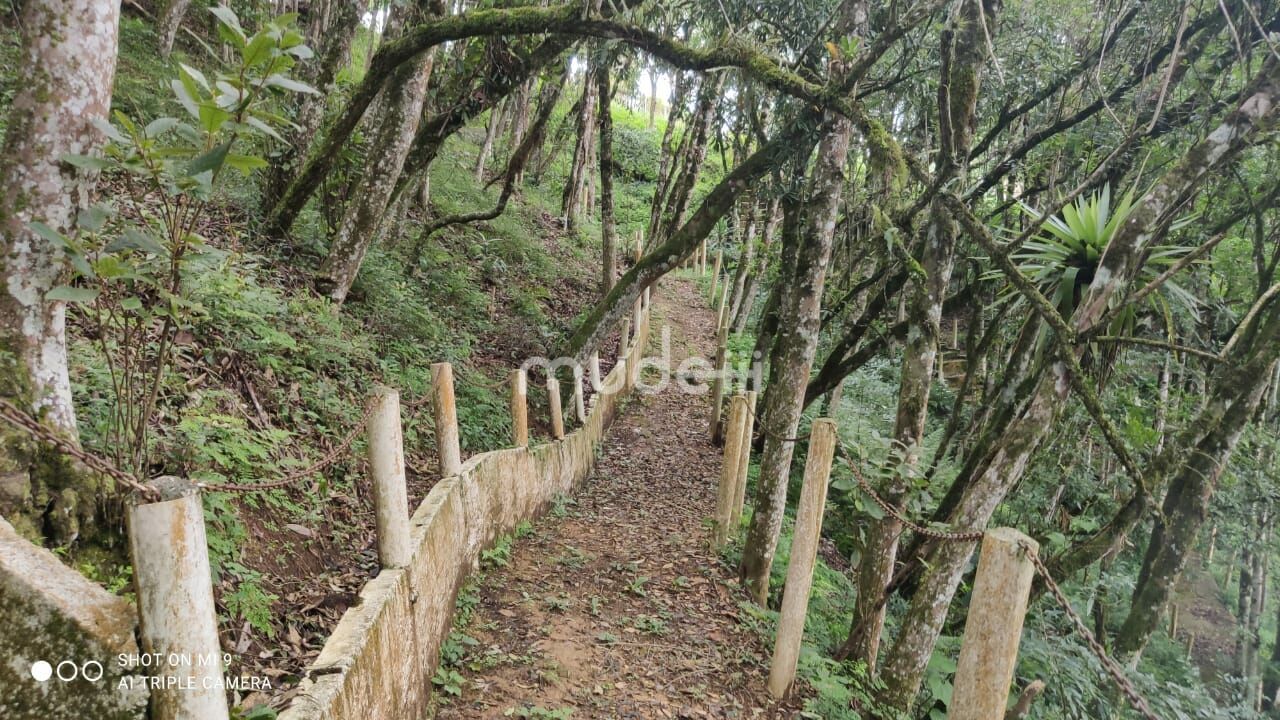 Fazenda, sítio ou chácara 4 quartos à venda em Roça Velha, São José dos Pinhais - foto 16