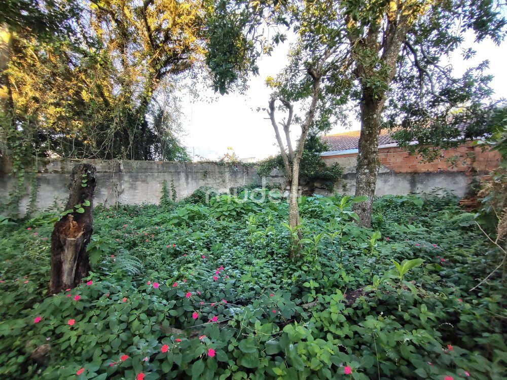 Terreno à venda em Boqueirão, Curitiba - foto 17
