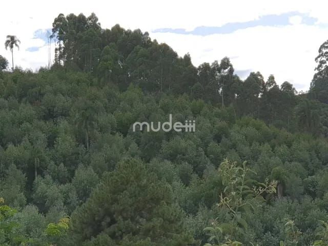 Fazenda, sítio ou chácara 2 quartos à venda em Centro, Campo Magro - foto 17