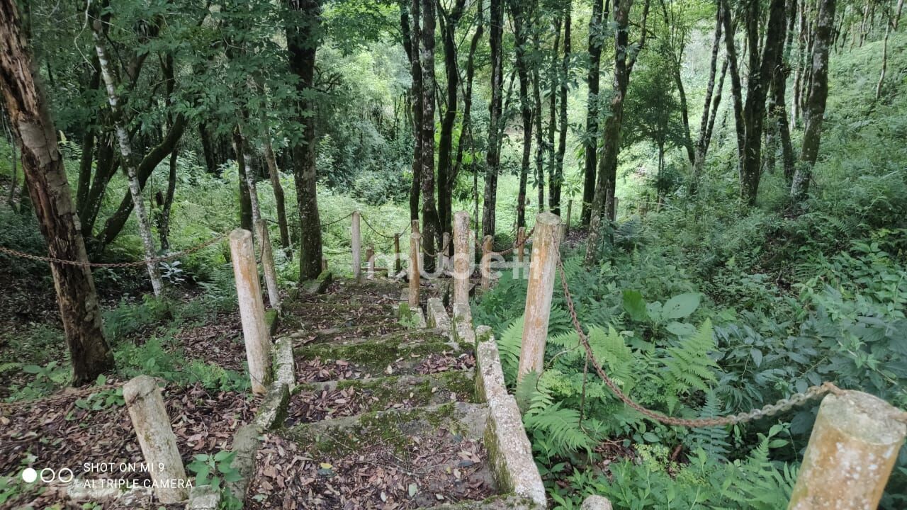 Fazenda, sítio ou chácara 4 quartos à venda em Roça Velha, São José dos Pinhais - foto 17