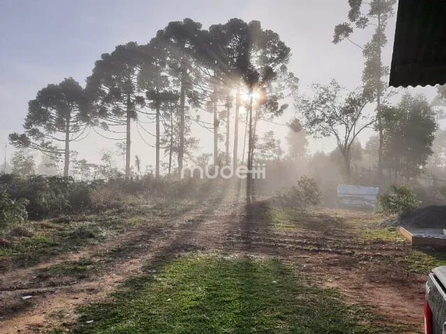 Fazenda, sítio ou chácara 2 quartos à venda em Centro, Campo Magro - foto 18