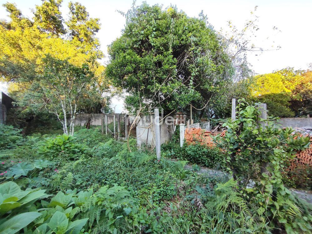Terreno à venda em Boqueirão, Curitiba - foto 18