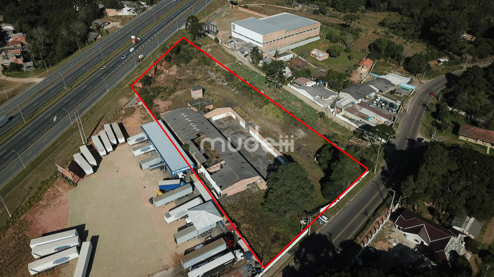 Terreno à venda em Campo Largo da Roseira, São José dos Pinhais - foto 2