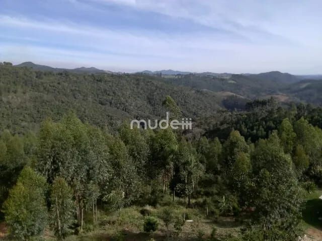 Fazenda, sítio ou chácara 2 quartos à venda em Centro, Campo Magro - foto 19