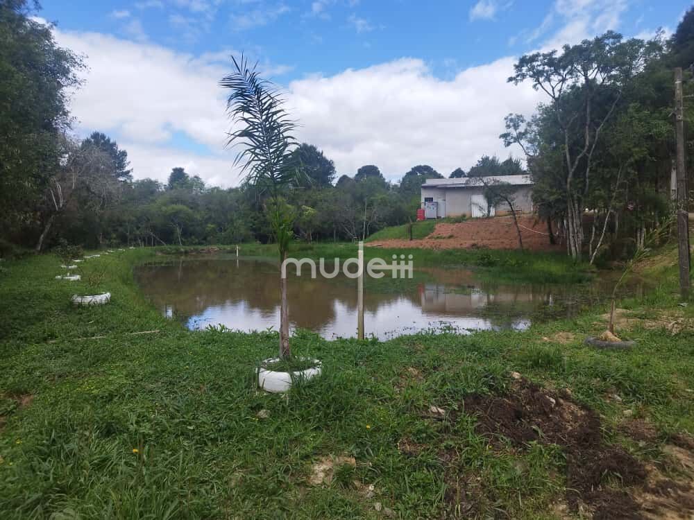 Fazenda, sítio ou chácara 2 quartos à venda em Centro, Contenda - foto 20