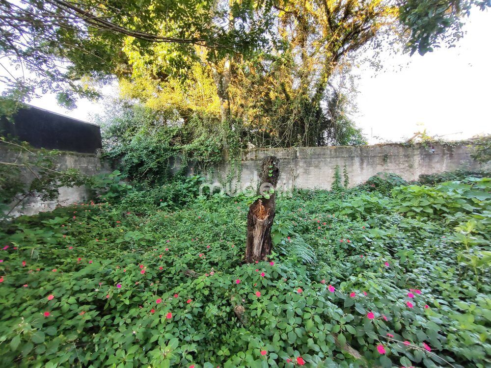 Terreno à venda em Boqueirão, Curitiba - foto 21