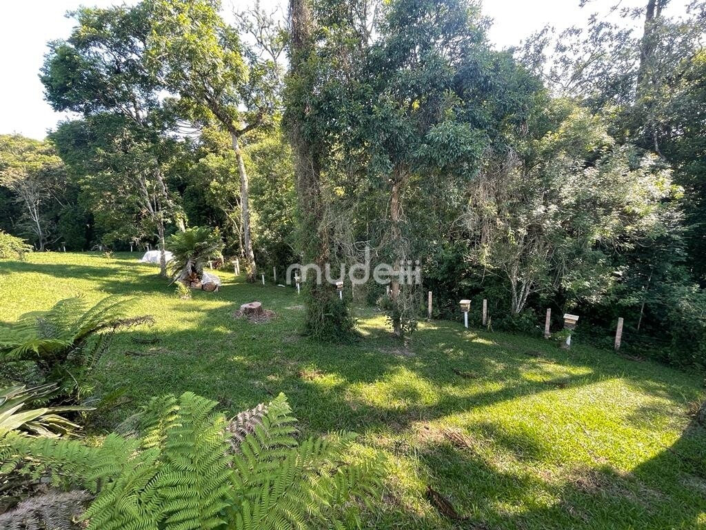 Fazenda, sítio ou chácara 4 quartos à venda em Colônia Mergulhão, São José dos Pinhais - foto 21