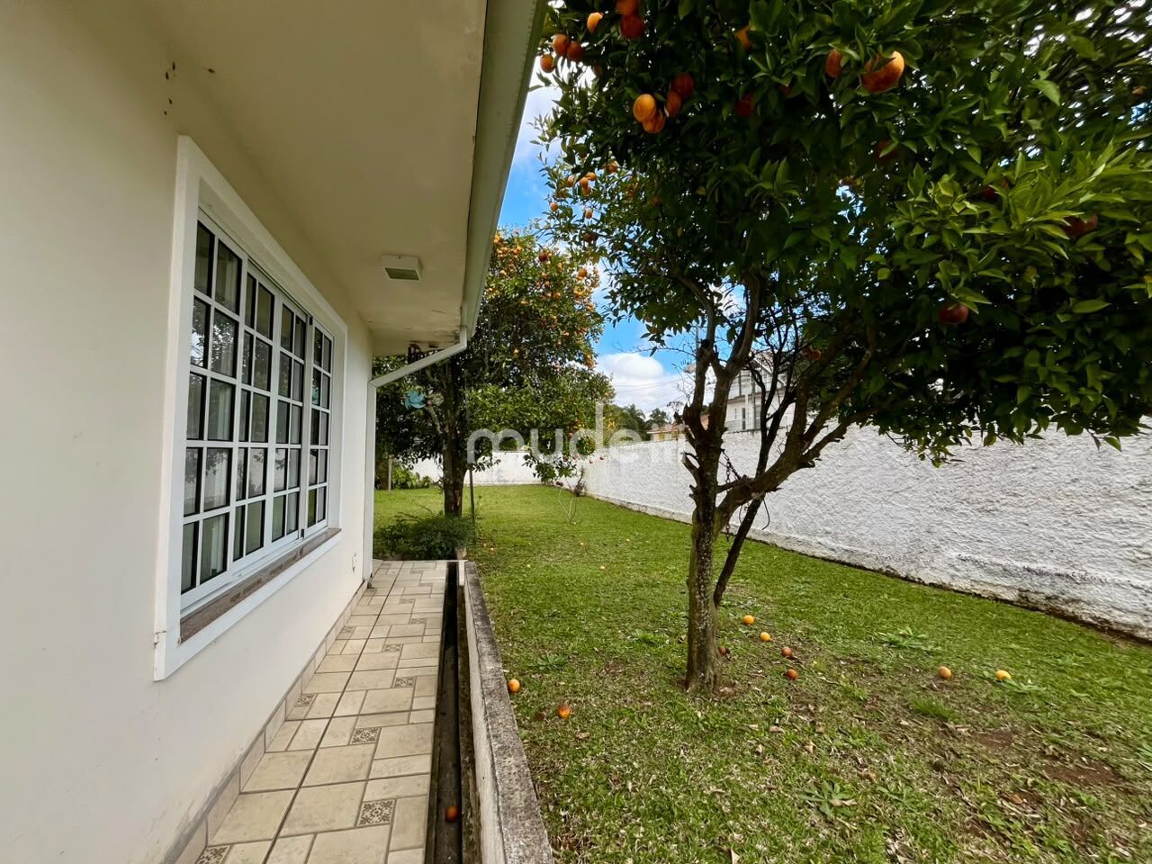 Casa 2 quartos à venda em Aristocrata, São José dos Pinhais - foto 22