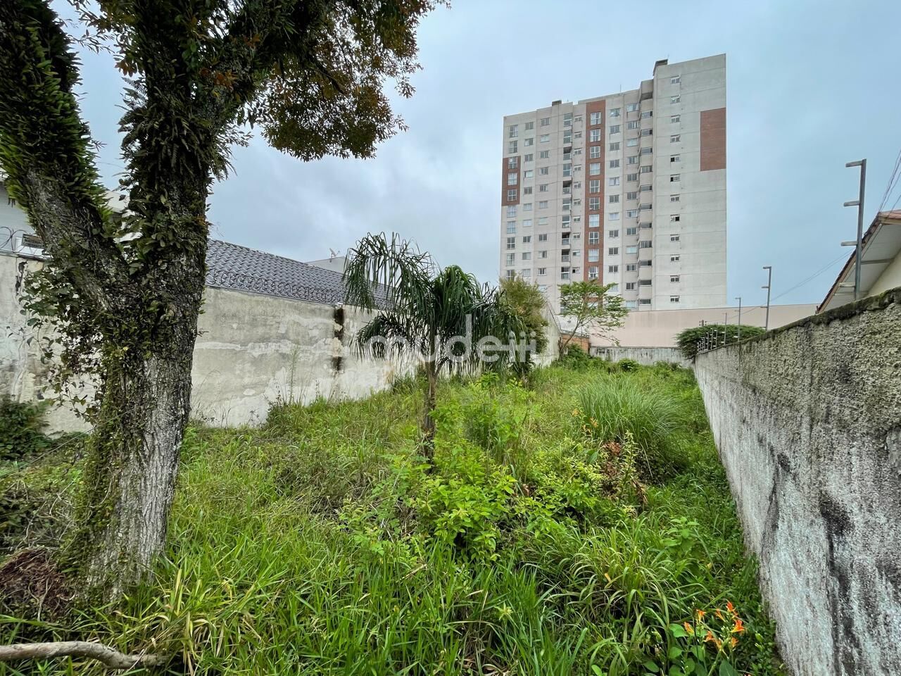Terreno à venda em São Pedro, São José dos Pinhais - foto 3