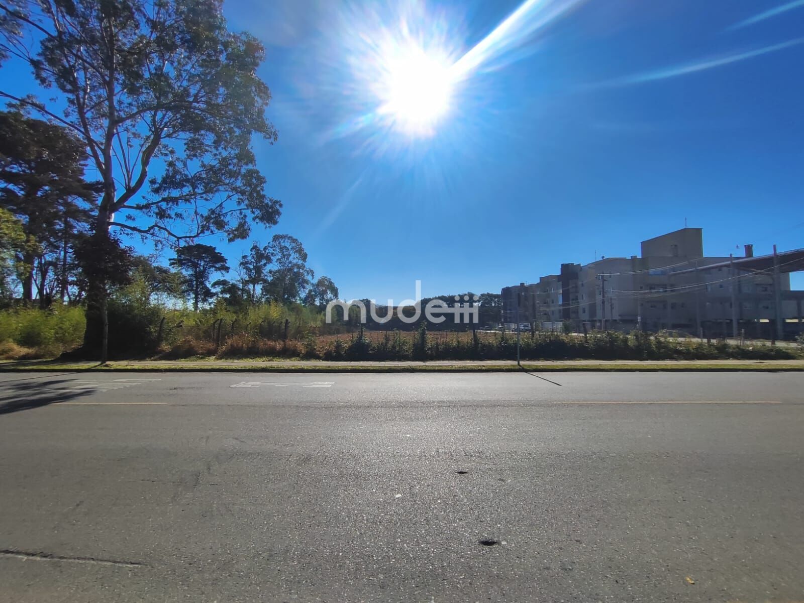 Terreno para alugar em Iná, São José dos Pinhais - foto 3