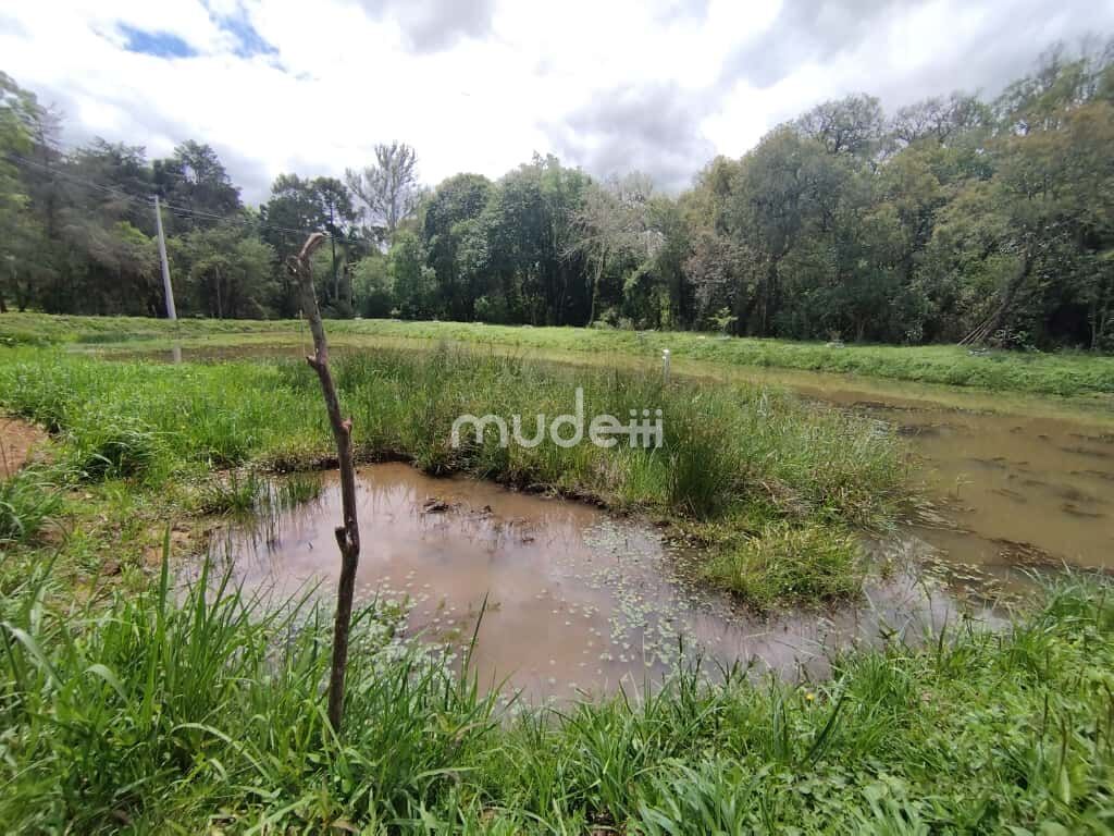 Fazenda, sítio ou chácara 2 quartos à venda em Centro, Contenda - foto 26