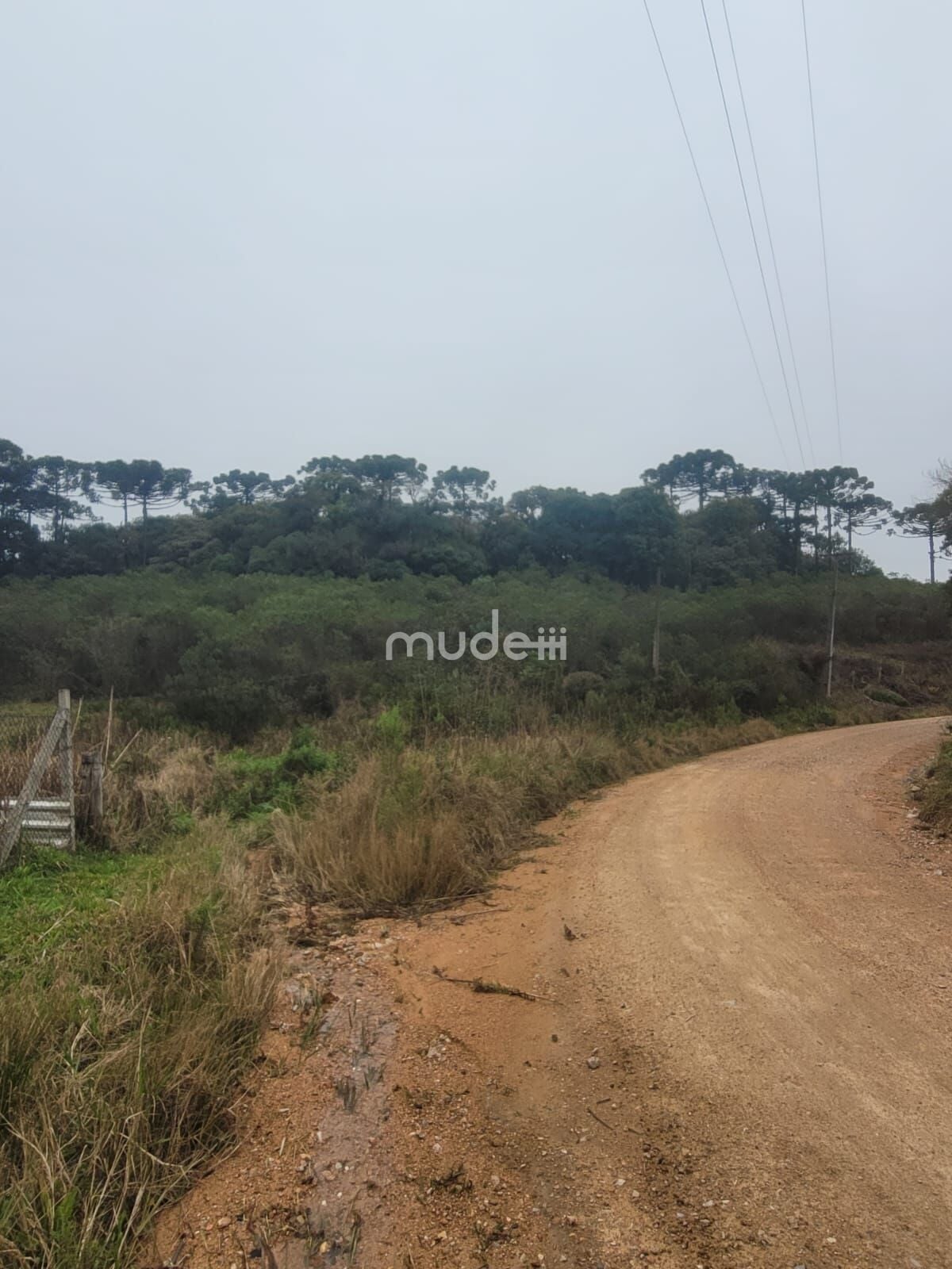 Terreno à venda em Área Rural de São José dos Pinhais, São José dos Pinhais - foto 3