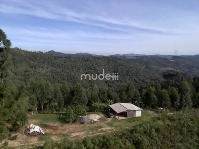 Fazenda, sítio ou chácara 2 quartos à venda em Centro, Campo Magro - foto 3