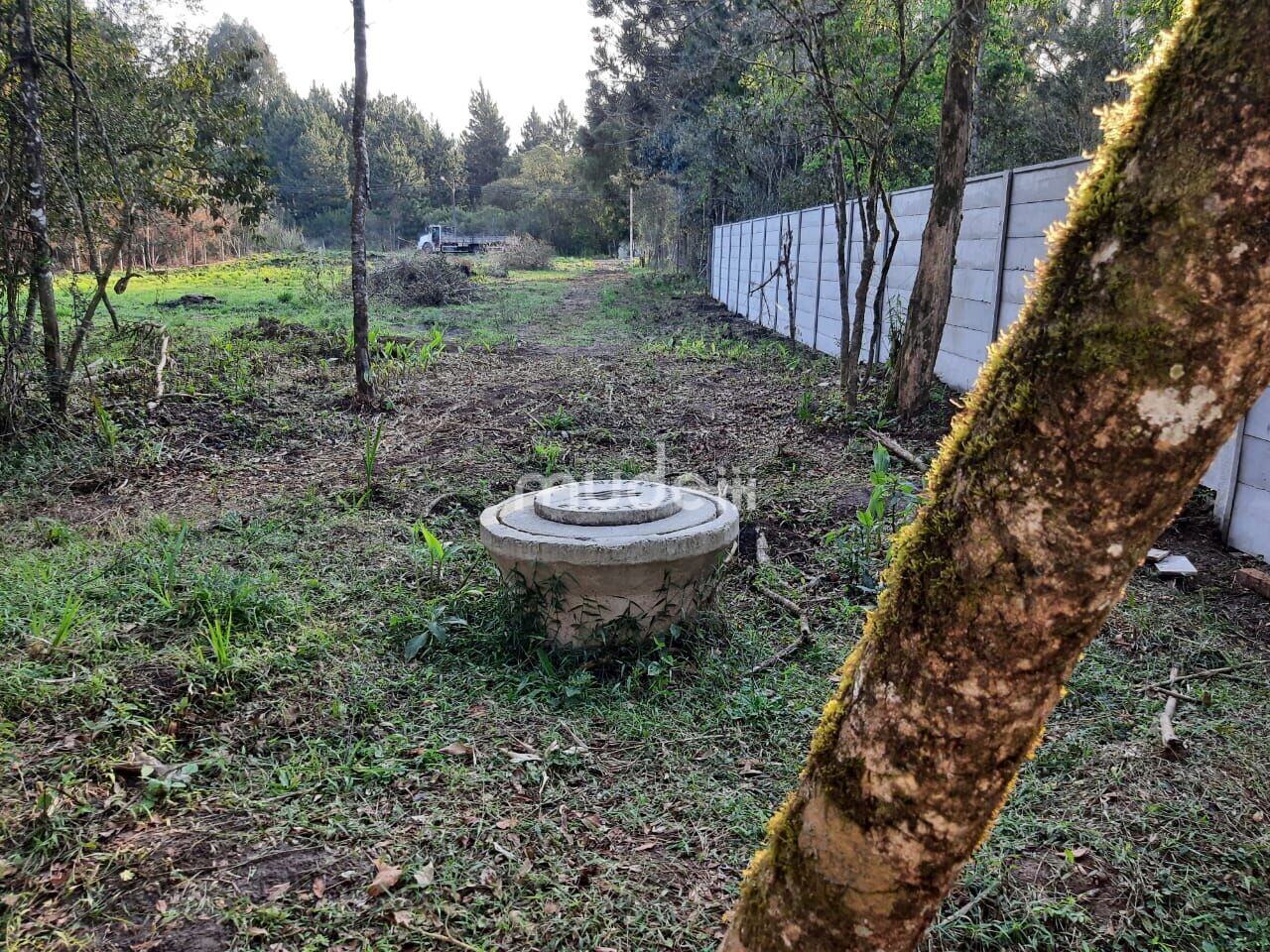 Terreno à venda em Parque das Nascentes, Pinhais - foto 3
