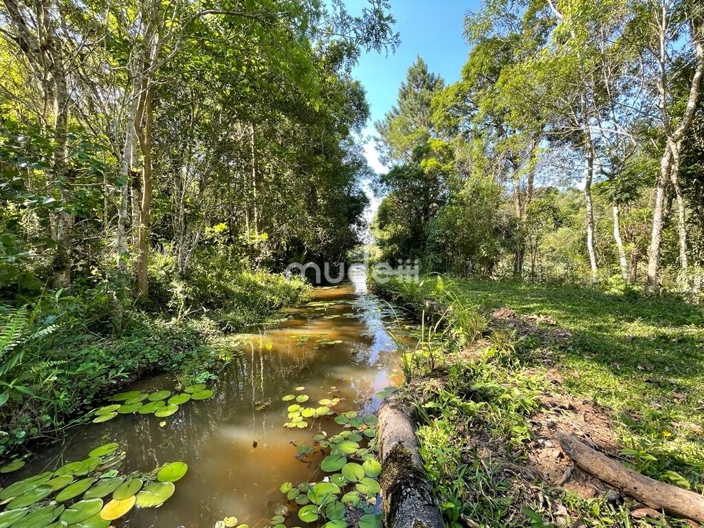 Fazenda, sítio ou chácara 4 quartos à venda em Colônia Mergulhão, São José dos Pinhais - foto 30