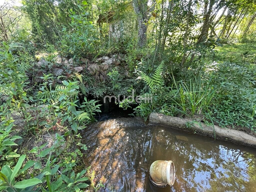 Fazenda, sítio ou chácara 4 quartos à venda em Colônia Mergulhão, São José dos Pinhais - foto 31