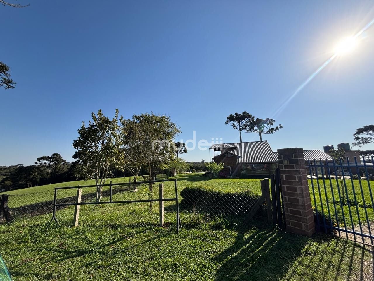 Fazenda, sítio ou chácara 4 quartos à venda em Campestre da Faxina, São José dos Pinhais - foto 4