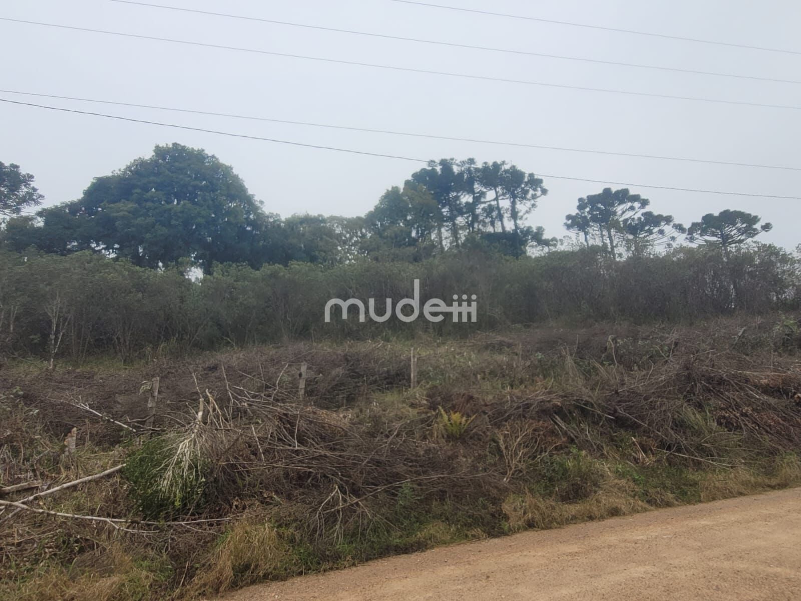 Terreno à venda em Área Rural de São José dos Pinhais, São José dos Pinhais - foto 4