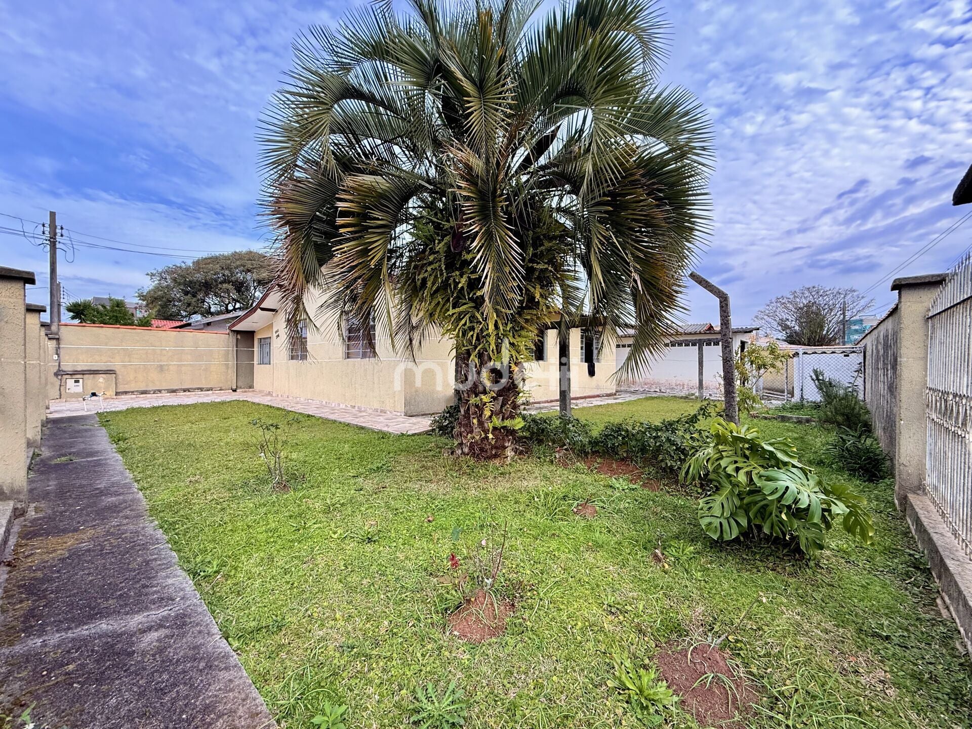 Casa 3 quartos à venda em Afonso Pena, São José dos Pinhais - foto 4