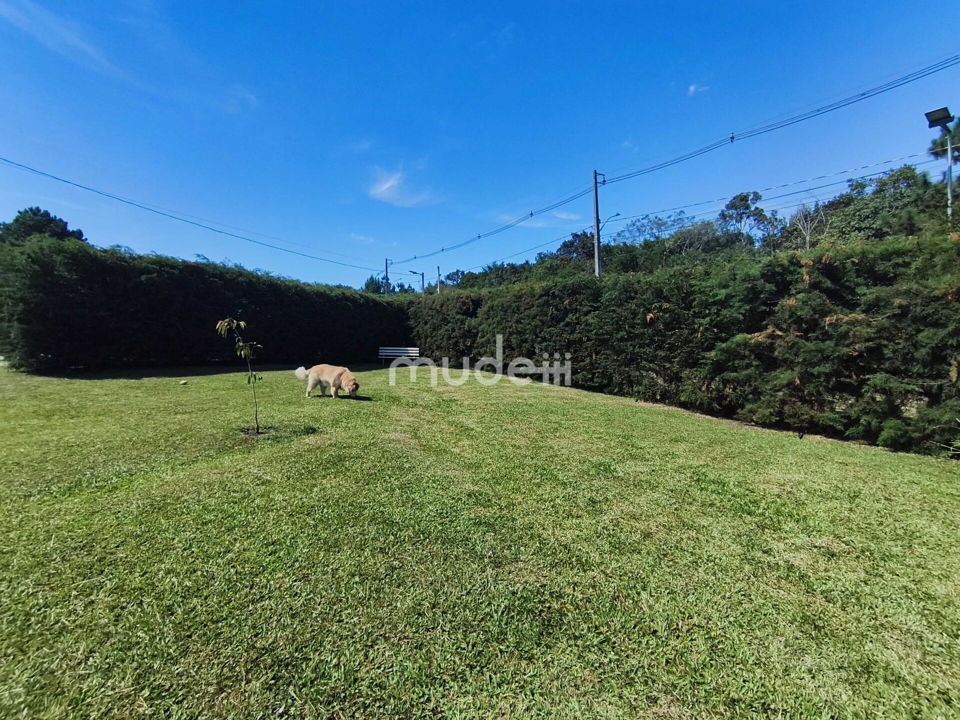Casa em condomínio 4 quartos à venda em Campo Largo da Roseira, São José dos Pinhais - foto 36