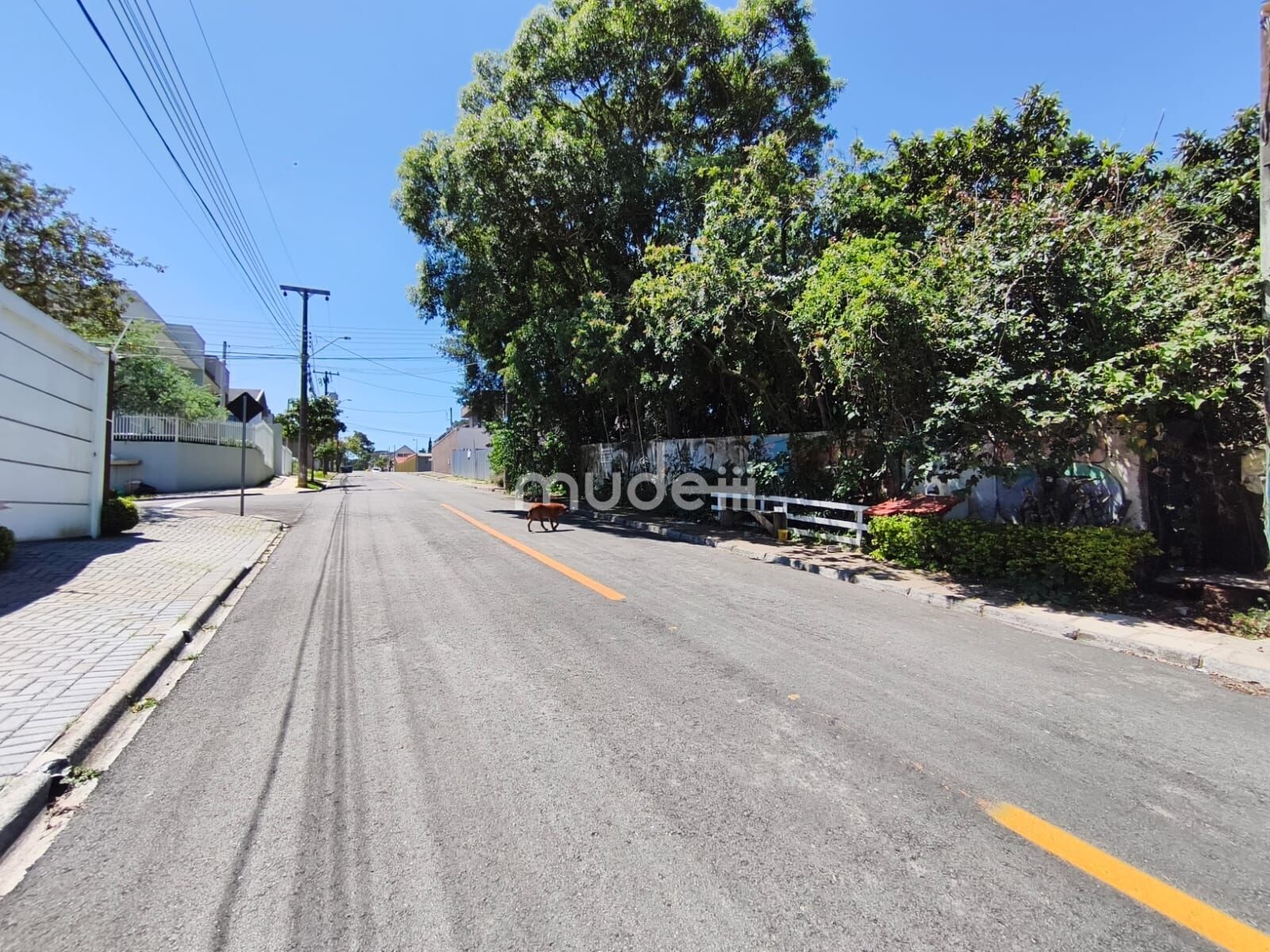 Terreno à venda em Aristocrata, São José dos Pinhais - foto 4
