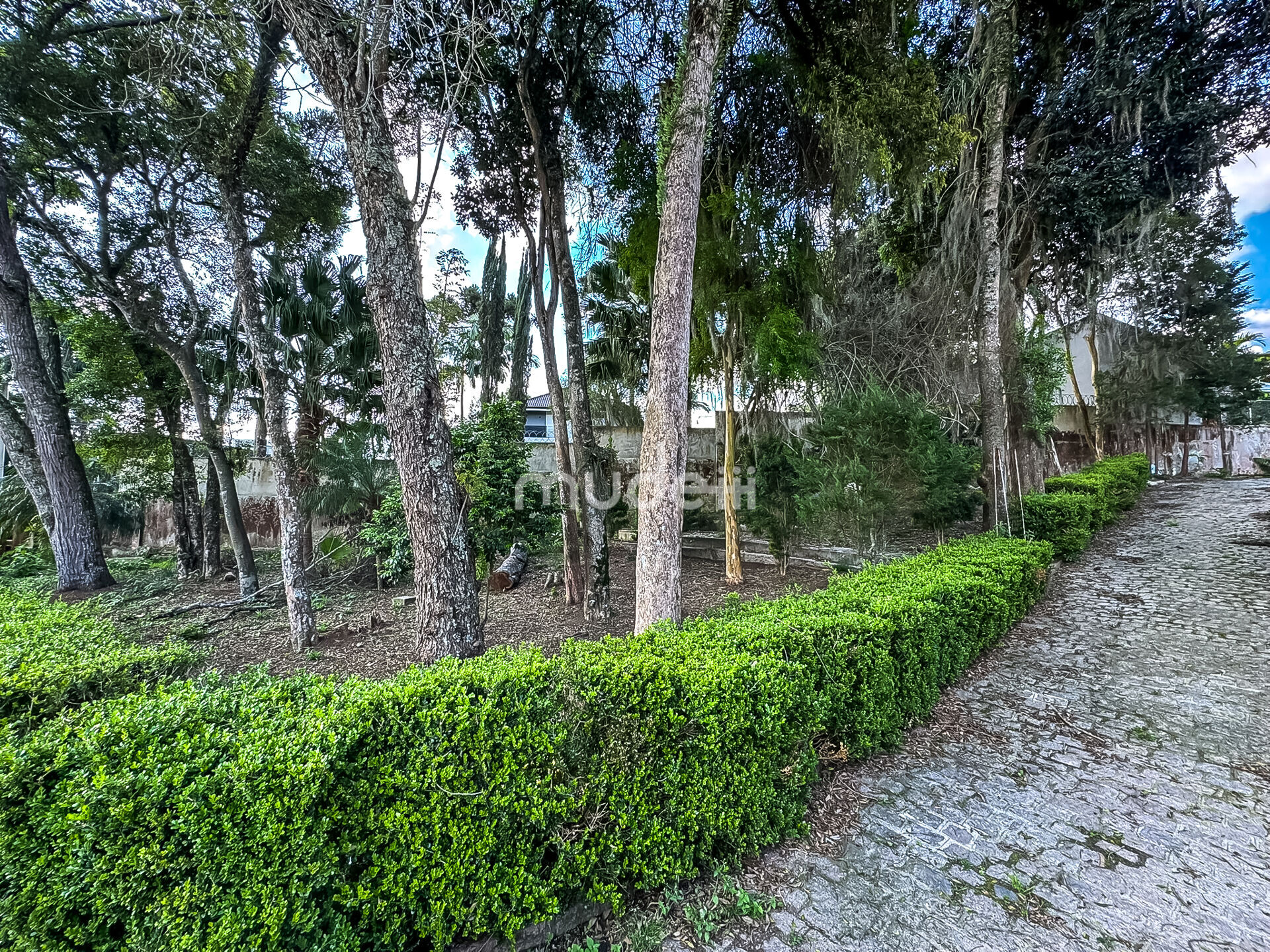 Casa 4 quartos à venda em Aristocrata, São José dos Pinhais - foto 4