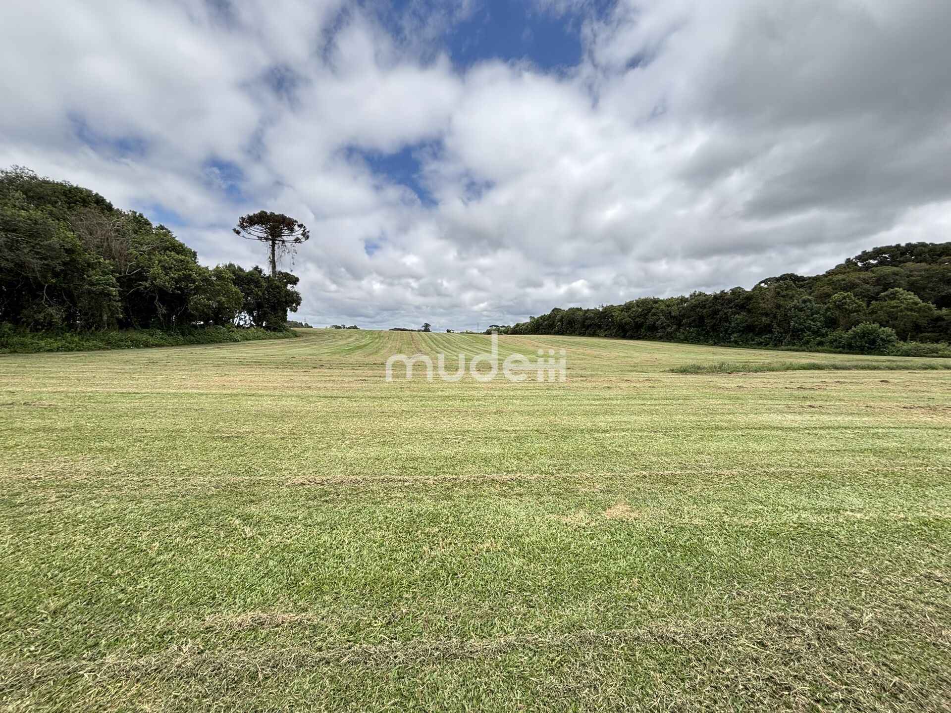 Terreno à venda em Centro, São José dos Pinhais - foto 5