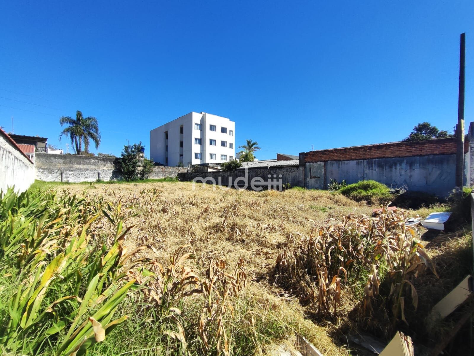 Terreno à venda em Boneca do Iguaçu, São José dos Pinhais - foto 5