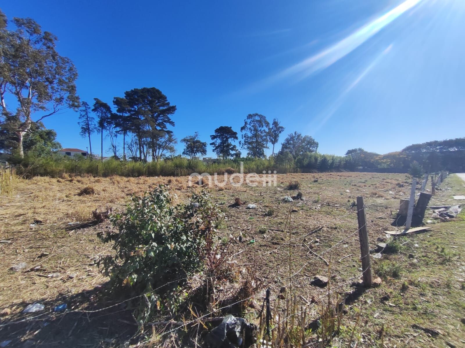 Terreno para alugar em Iná, São José dos Pinhais - foto 5