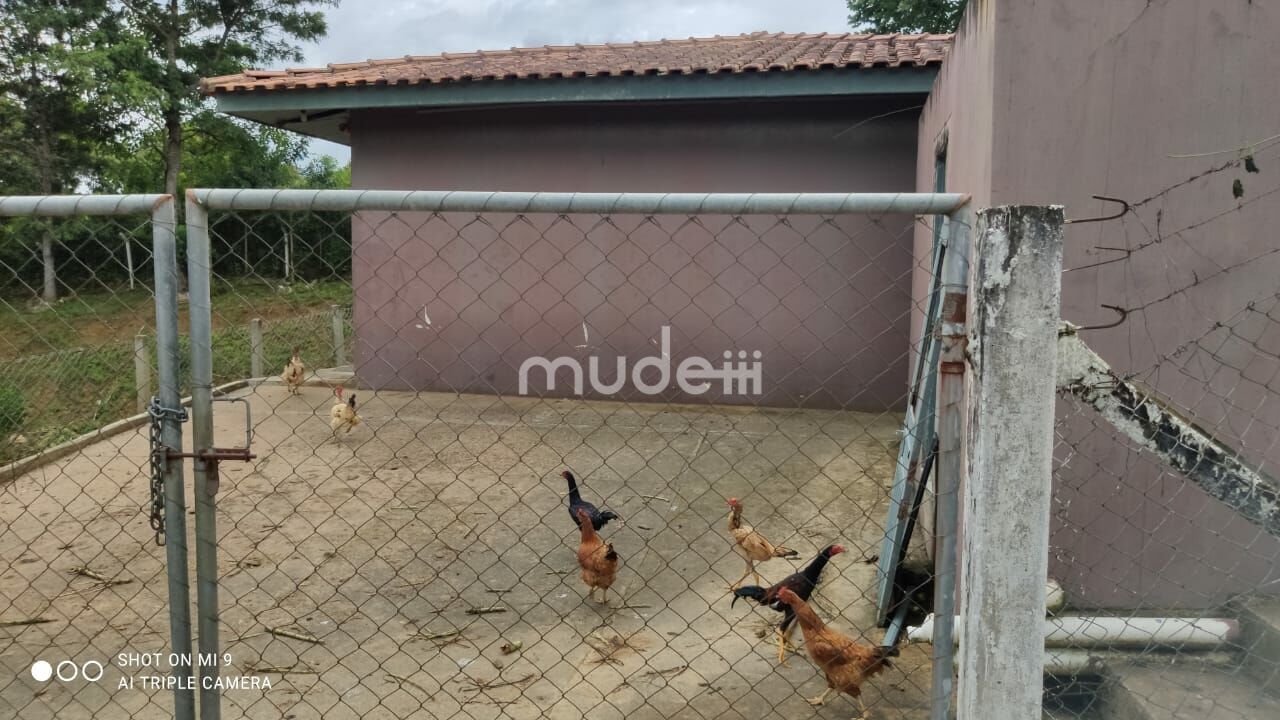 Fazenda, sítio ou chácara 4 quartos à venda em Roça Velha, São José dos Pinhais - foto 5