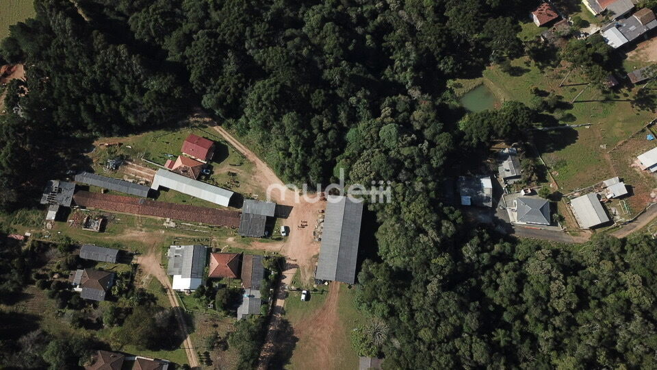 Fazenda, sítio ou chácara 2 quartos à venda em Cachoeira, São José dos Pinhais - foto 5