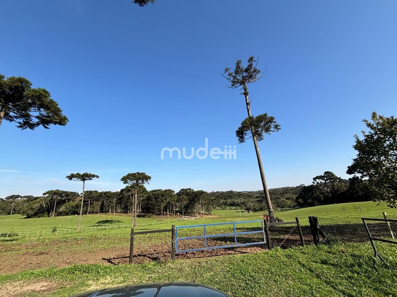 Fazenda, sítio ou chácara 4 quartos à venda em Campestre da Faxina, São José dos Pinhais - foto 5