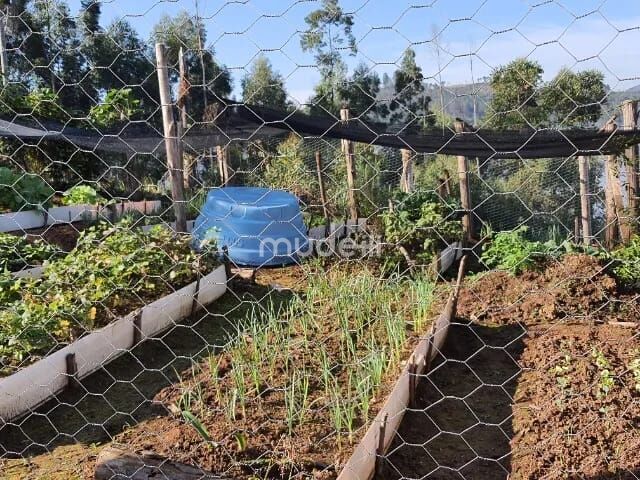 Fazenda, sítio ou chácara 2 quartos à venda em Centro, Campo Magro - foto 5